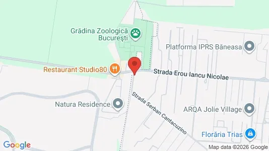 Apartments for rent i Voluntari - kort over placeringen