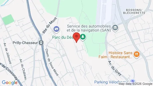 Apartments for rent in Lausanne - Photo from Google Street View