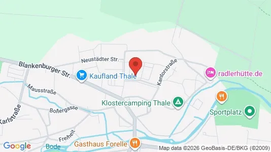 Apartments for rent in Harz - Photo from Google Street View