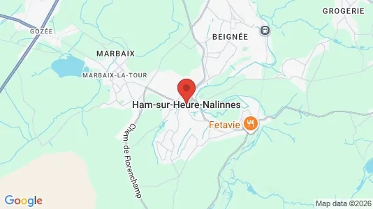 Houses for rent in Ham-sur-Heure-Nalinnes - Photo from Google Street View