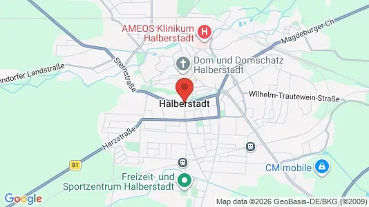 Houses for rent in Harz - Photo from Google Street View