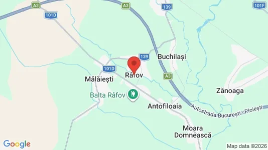 Apartments for rent i Râfov - kort over placeringen
