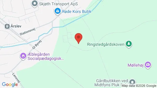 Apartments for rent i Årslev - kort over placeringen
