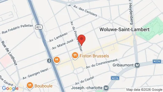 Apartments for rent i Brussels Sint-Lambrechts-Woluwe - kort over placeringen