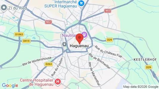 Apartments for rent i Haguenau-Wissembourg - kort over placeringen