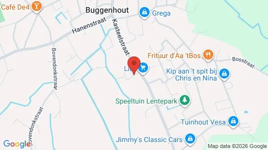 Apartments for rent i Buggenhout - kort over placeringen