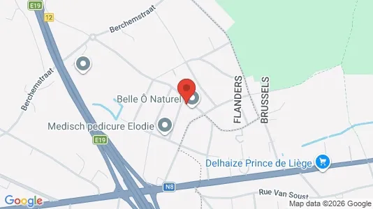 Apartments for rent i Dilbeek - kort over placeringen