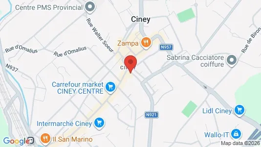 Apartments for rent i Ciney - kort over placeringen