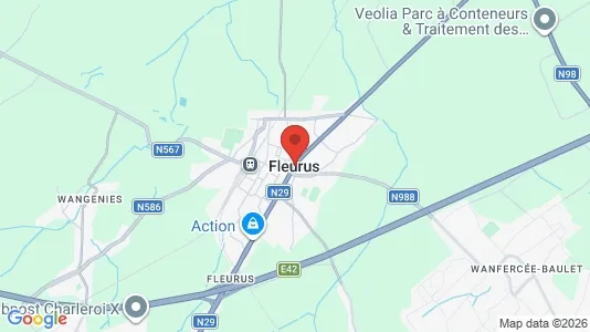 Houses for rent i Fleurus - kort over placeringen