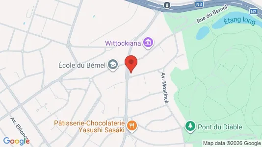 Apartments for rent i Brussels Sint-Pieters-Woluwe - kort over placeringen