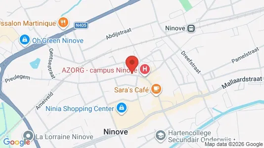 Apartments for rent i Ninove - kort over placeringen