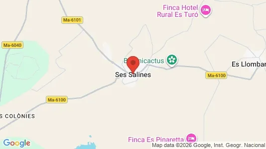 Houses for rent in Ses Salines - Photo from Google Street View