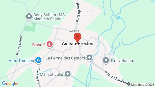 Apartments for rent i Aiseau-Presles - kort over placeringen