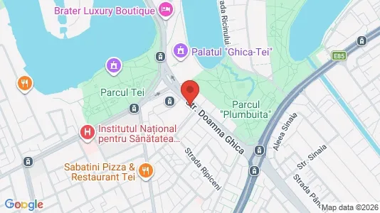 Apartments for rent i Bucharest - Sectorul 2 - kort over placeringen