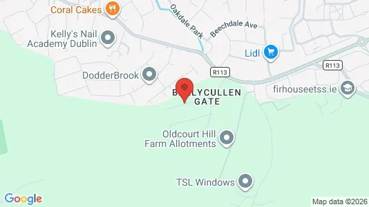 Apartments for rent i Dublin 24 - kort over placeringen