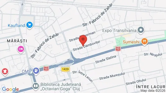 Apartments for rent i Cluj-Napoca - kort over placeringen