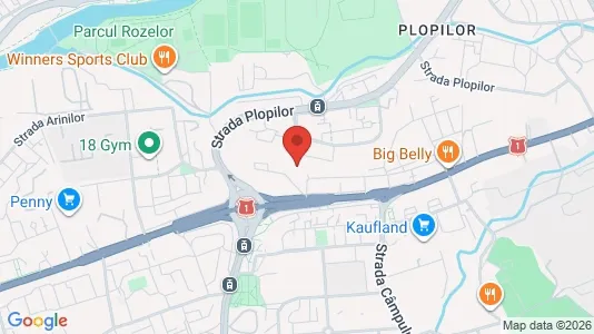 Apartments for rent i Cluj-Napoca - kort over placeringen