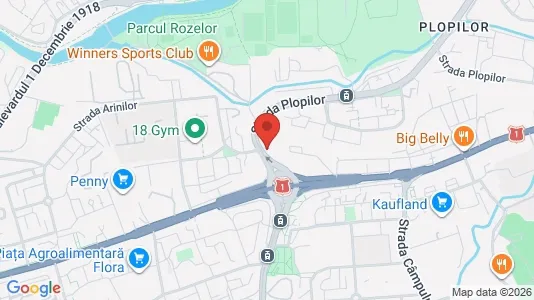 Apartments for rent i Cluj-Napoca - kort over placeringen