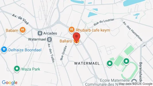 Apartments for rent i Brussels Watermaal-Bosvoorde - kort over placeringen