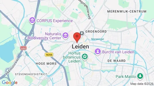 Apartments for rent in Leiden - Photo from Google Street View