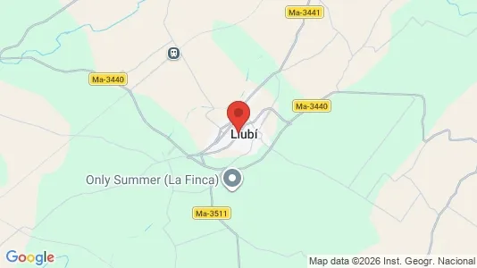 Apartments for rent in Llubí - Photo from Google Street View