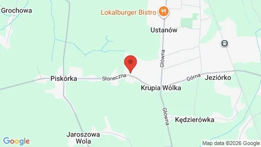 Houses for rent in Piaseczyński - Photo from Google Street View
