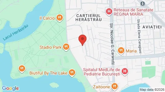 Apartments for rent i Voluntari - kort over placeringen