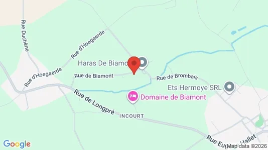 Apartments for rent in Incourt - Photo from Google Street View