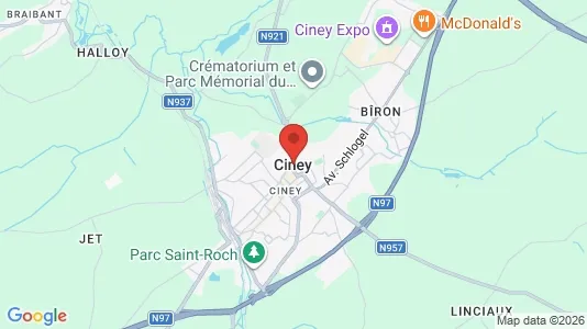 Apartments for rent in Ciney - Photo from Google Street View