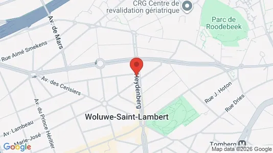 Apartments for rent i Brussels Sint-Lambrechts-Woluwe - kort over placeringen