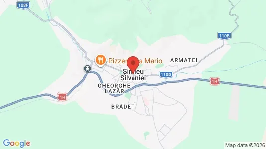 Houses for rent in Şimleu Silvaniei - Photo from Google Street View