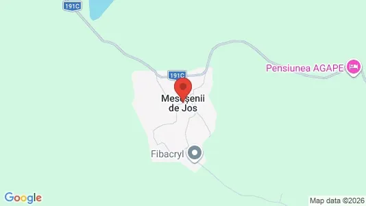 Houses for rent in Meseşenii de Jos - Photo from Google Street View
