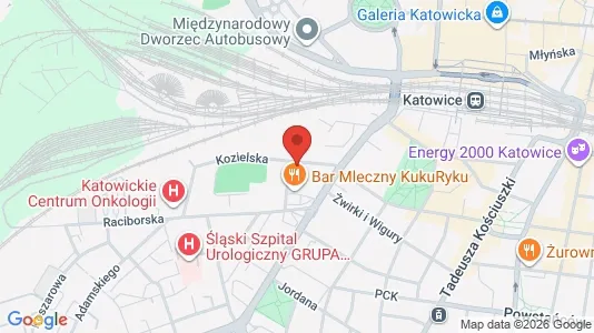 Apartments for rent i Katowice - kort over placeringen