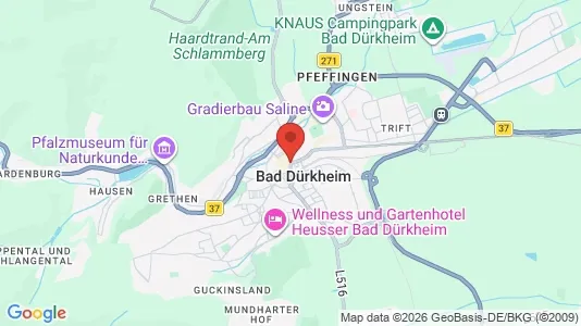 Apartments for rent in Bad Dürkheim - Photo from Google Street View