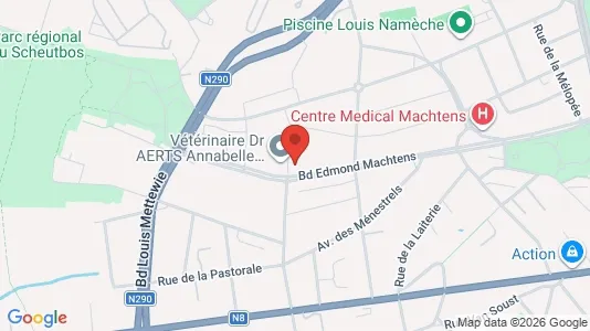 Apartments for rent i Brussels Sint-Jans-Molenbeek - kort over placeringen