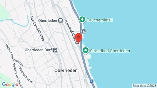 Apartments for rent i Horgen - kort over placeringen