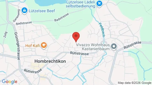 Apartments for rent i Meilen - kort over placeringen