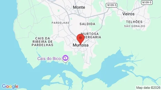 Apartments for rent i Murtosa - kort over placeringen