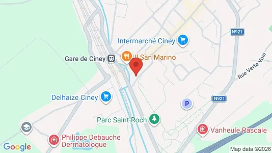 Apartments for rent i Ciney - kort over placeringen