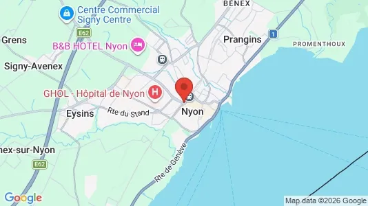Apartments for rent in Nyon - Photo from Google Street View