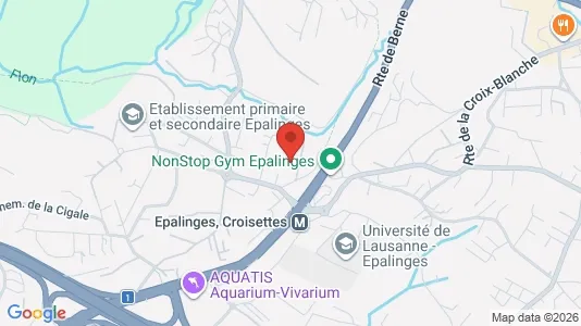Apartments for rent i Lausanne - kort over placeringen