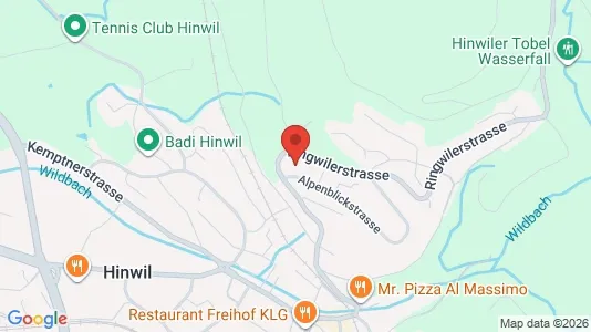 Apartments for rent i Hinwil - kort over placeringen