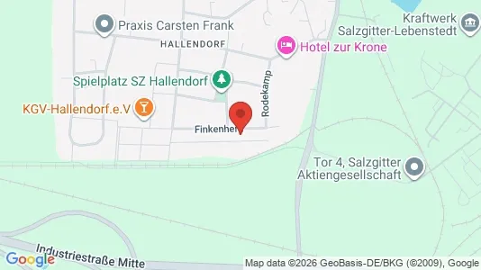 Apartments for rent i Salzgitter - kort over placeringen