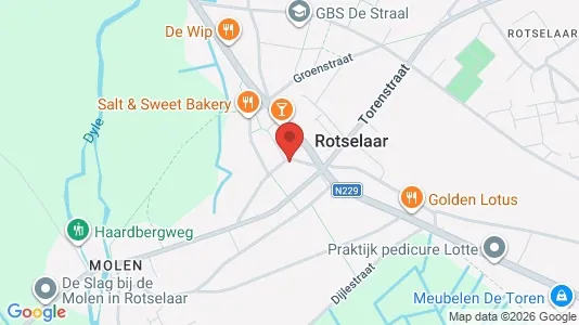 Apartments for rent i Rotselaar - kort over placeringen