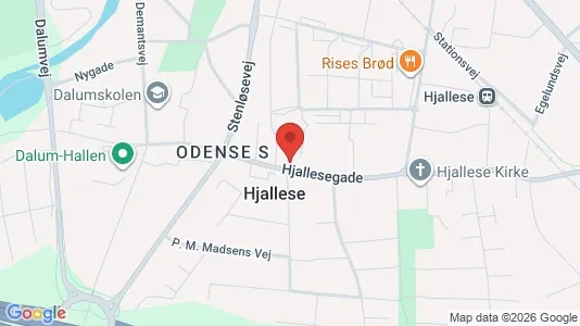 Apartments for rent i Odense S - kort over placeringen