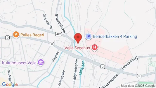 Apartments for rent i Vejle Center - kort over placeringen