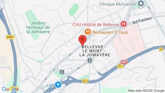 Apartments for rent i Saint-Étienne - kort over placeringen