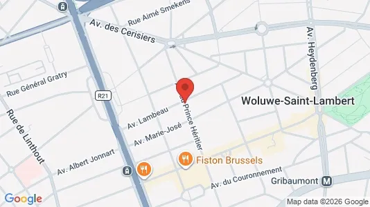 Apartments for rent i Brussels Sint-Lambrechts-Woluwe - kort over placeringen