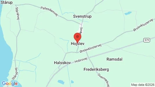Apartments for rent in Højslev - Photo from Google Street View