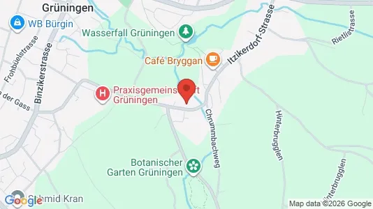 Apartments for rent i Hinwil - kort over placeringen